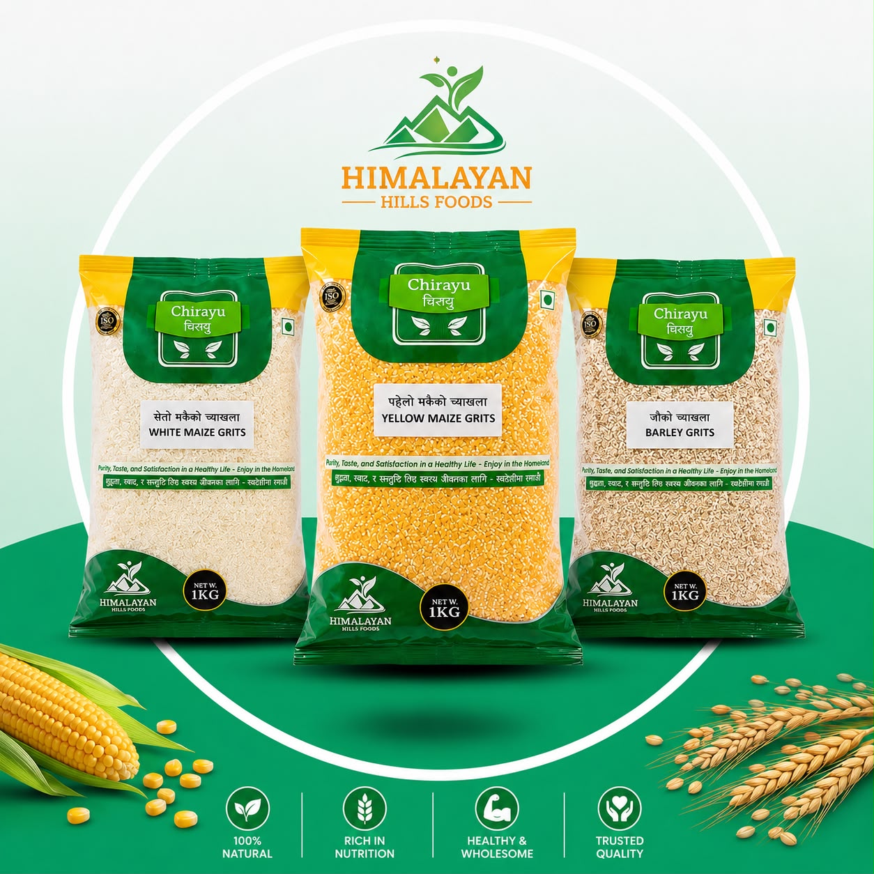 Maize